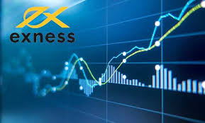 Exness Account Comparison Choose the Right Trading Account for You