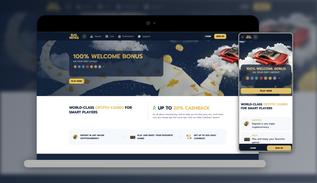 Online Online Casino Perks - VIP Program for High Rollers